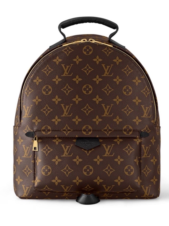 Louis Vuitton Other - Louis Vuitton Palm Springs Backpack MM – Monogram / Black Leather Unisex